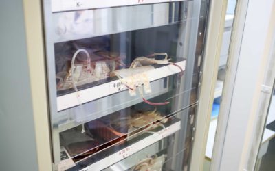 How to know if your refrigeration system needs maintenance?