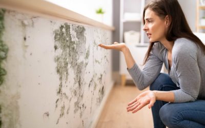 How Your HVAC System Protects You Against Mould